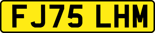 FJ75LHM