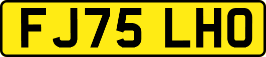 FJ75LHO