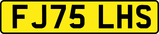 FJ75LHS