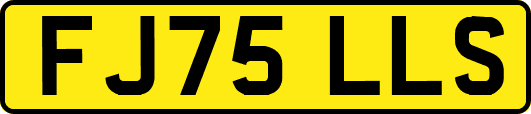 FJ75LLS