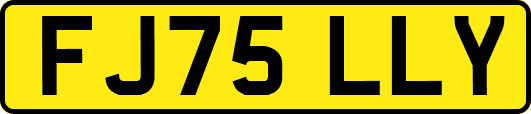 FJ75LLY
