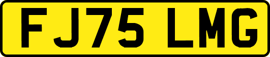 FJ75LMG