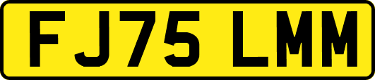 FJ75LMM