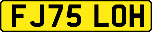 FJ75LOH