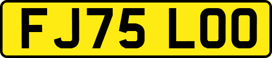 FJ75LOO