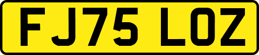 FJ75LOZ
