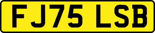 FJ75LSB