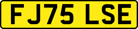 FJ75LSE