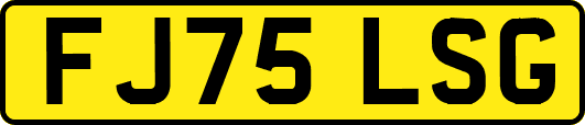 FJ75LSG