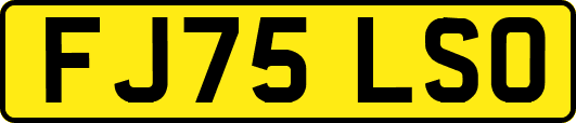 FJ75LSO