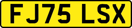 FJ75LSX
