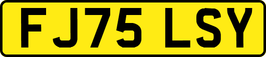 FJ75LSY