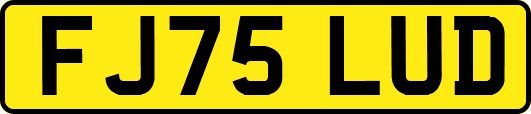 FJ75LUD