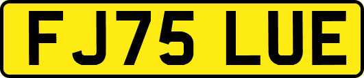 FJ75LUE