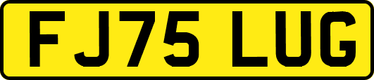 FJ75LUG