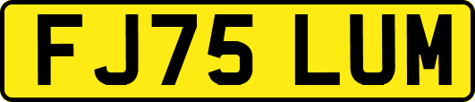 FJ75LUM