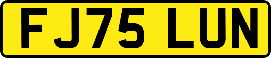 FJ75LUN