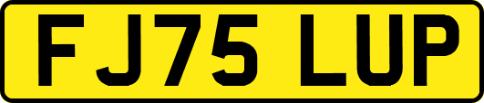 FJ75LUP