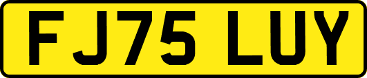 FJ75LUY
