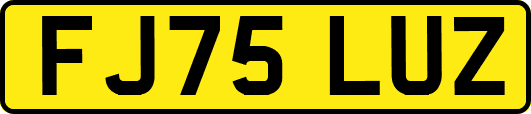 FJ75LUZ