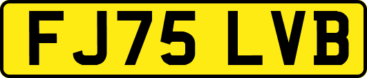 FJ75LVB