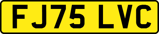 FJ75LVC