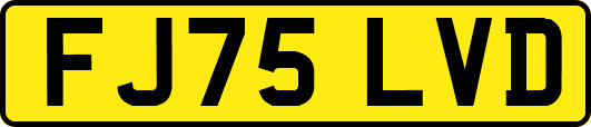 FJ75LVD