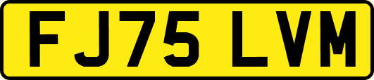 FJ75LVM