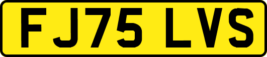 FJ75LVS
