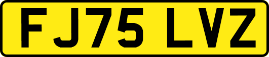 FJ75LVZ