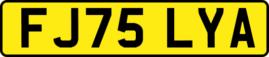 FJ75LYA
