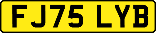FJ75LYB