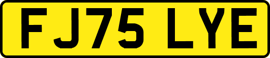 FJ75LYE