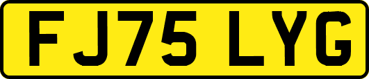 FJ75LYG