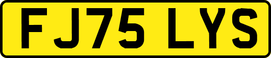 FJ75LYS
