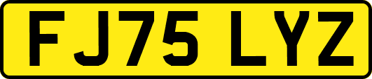 FJ75LYZ