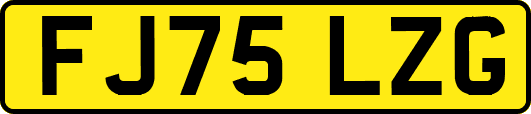 FJ75LZG