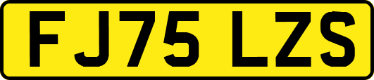 FJ75LZS