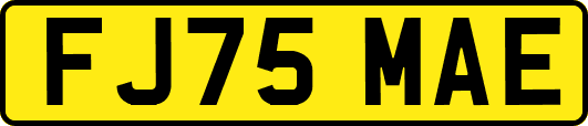 FJ75MAE