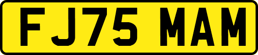 FJ75MAM