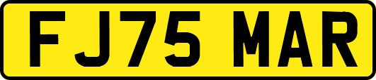 FJ75MAR