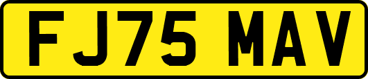 FJ75MAV