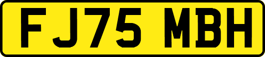 FJ75MBH