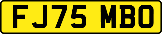 FJ75MBO