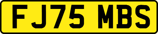 FJ75MBS