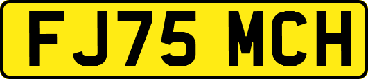 FJ75MCH