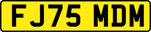 FJ75MDM