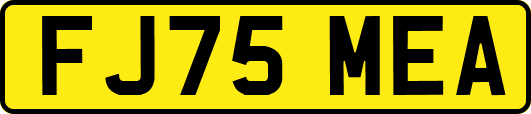 FJ75MEA