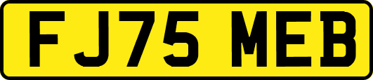 FJ75MEB