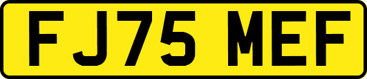 FJ75MEF